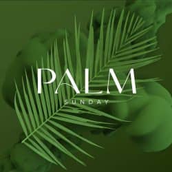 palm_sunday_ink_palm_sunday-square-Square